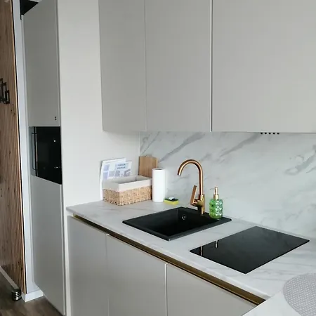 Silver Riverside Mostek 4 *