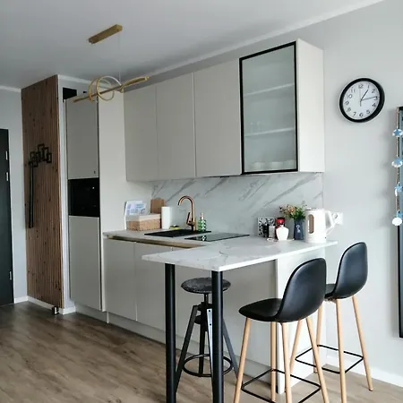 Silver Riverside Mostek 4 *