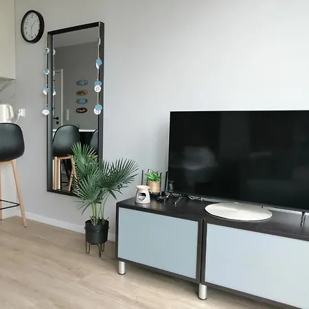Silver Studio Riverside Mostek 4 Gdansk Apartment *